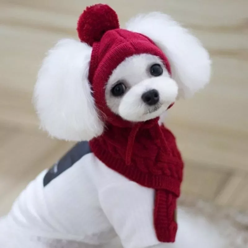 

2022NEW Hat for Dogs Winter Warm Stripes Knitted Hat+Scarf Collar Puppy Teddy Costume Christmas Clothes Santa Dog Costume