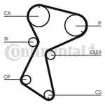 

CT604K1 for the eccentric tensioner kit (153 ×) MEGANE 1.9d (96 ) R9 R11 R9 R9 R19 R9 R11 R21 11r19 R11 R9 (F8Q)