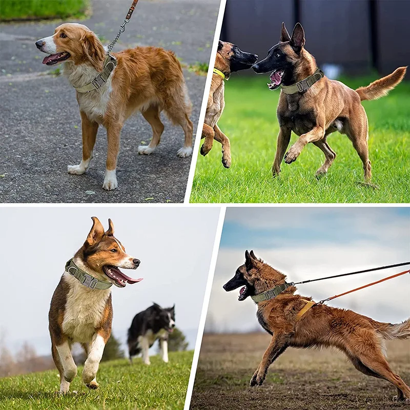 

Тактический ошейник для собак, военный Регулируемый Двойной нейлоновый немецкий ошейник среднего и большого размера, аксессуары для прогулок и тренировок на открытом воздухе