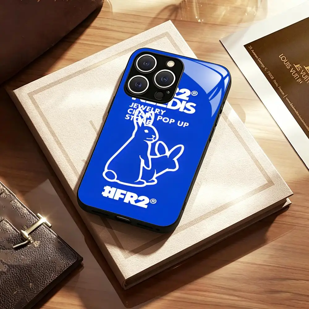 Фото Чехол для телефона LOOG Hot F-Fxxking R-Rab-bits для iPhone 17 Air, 16, 15, 14, 13, 12, 11 Plus, Mini, Pro, Max, стеклянный магнитный чехол №3