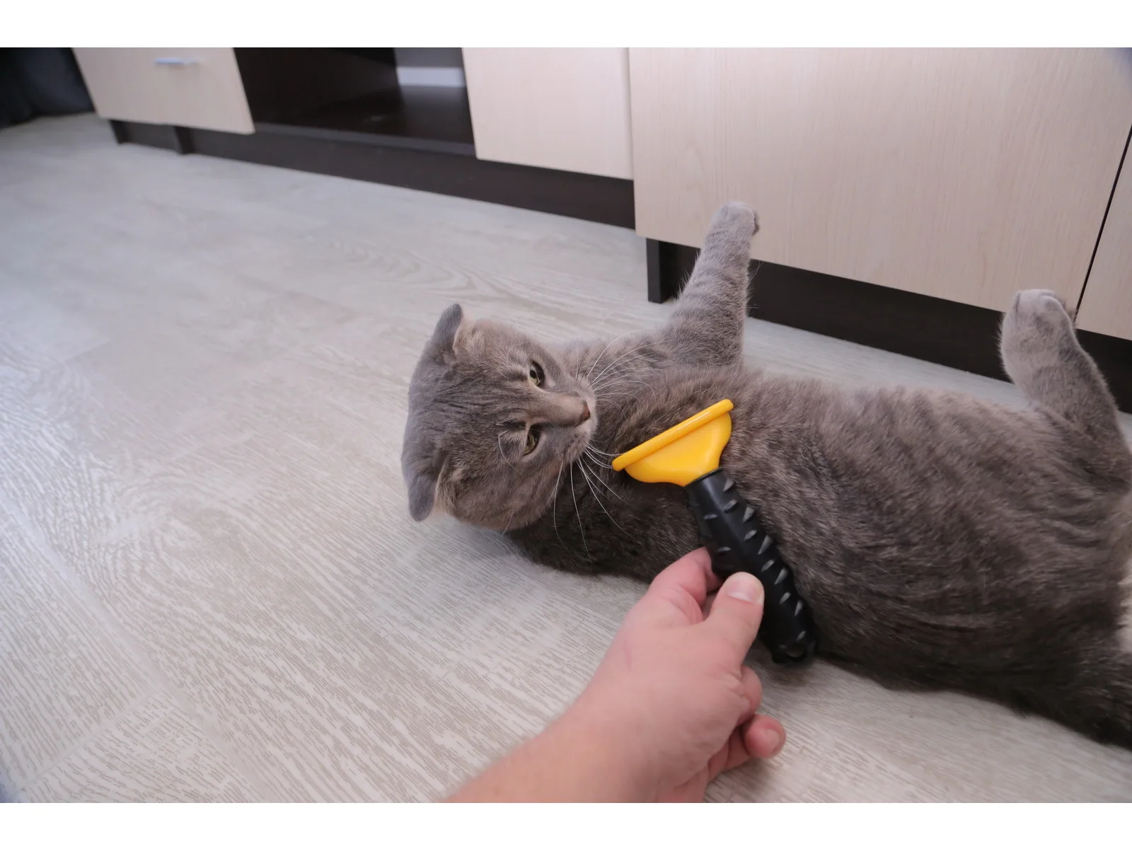 Расческа для вычесывания кошек и собак |