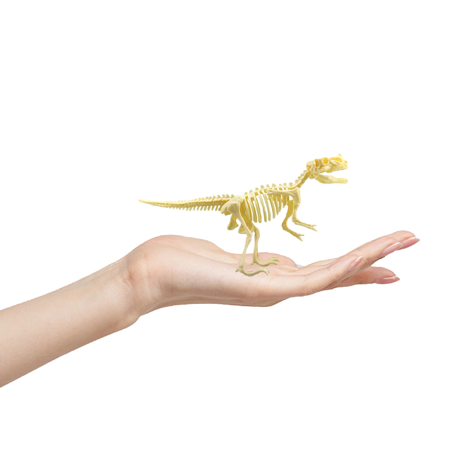 

7 Pieces Dinosaur 3D Puzzle Simulation Skeleton Animals Hands Craft Puzzle STEM Toys For Kids Adults DIY Dinosaur Fossils