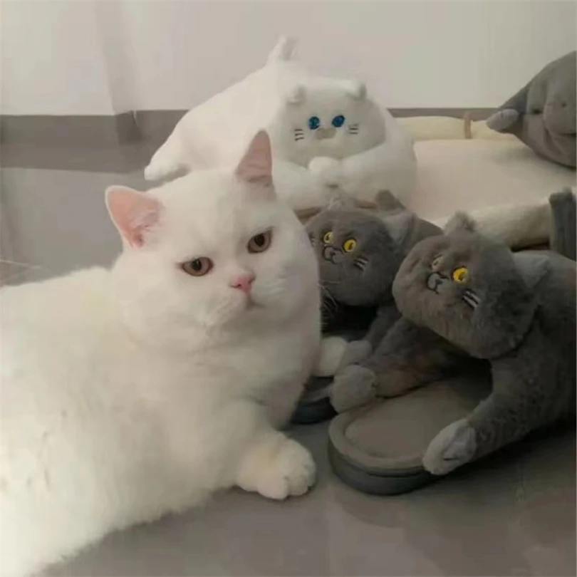 Плюшевые хлопковые тапочки в виде кота для девочек зимние теплые деревянного