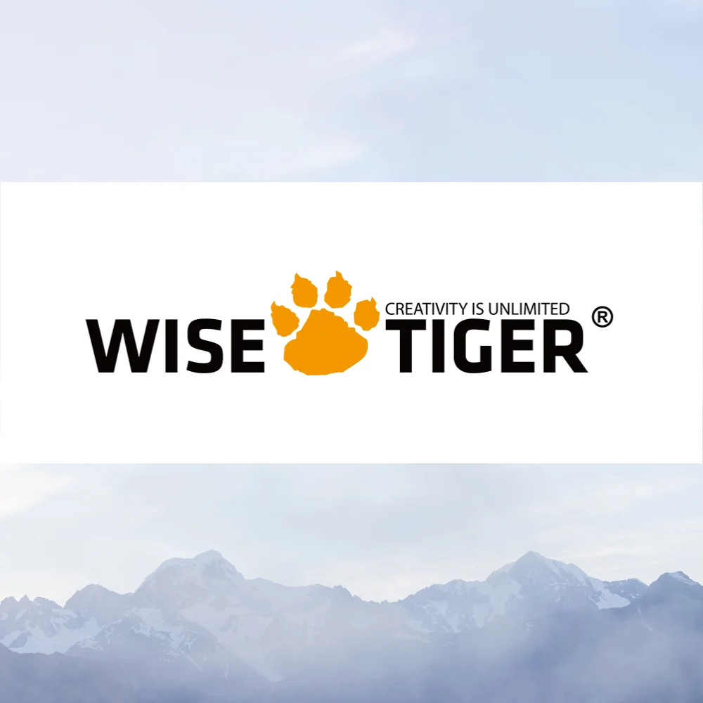 

Беспроводной динамик WISE TIGER, оптовая продажа, Прямая поставка
