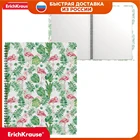 Папка файловая пластиковая на спирали ErichKrause Tropical Flamingo, Nature, Cactus, Flora, Tropics, 20 прозрачных карманов A4