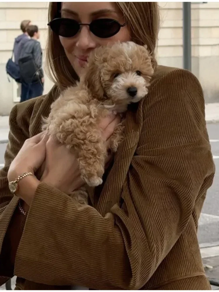 Женская Повседневная куртка с отложным воротником шикарная длинным рукавом и