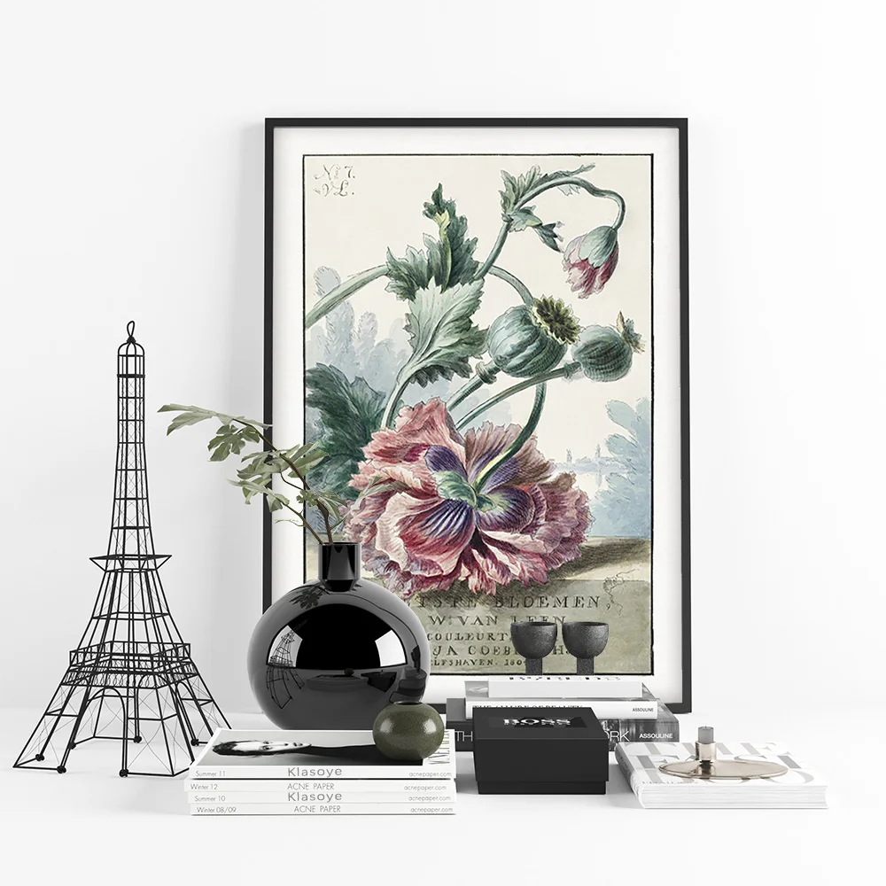 Виллем Ван Лен плакат маки винтажный художественный принт цветок ботанический