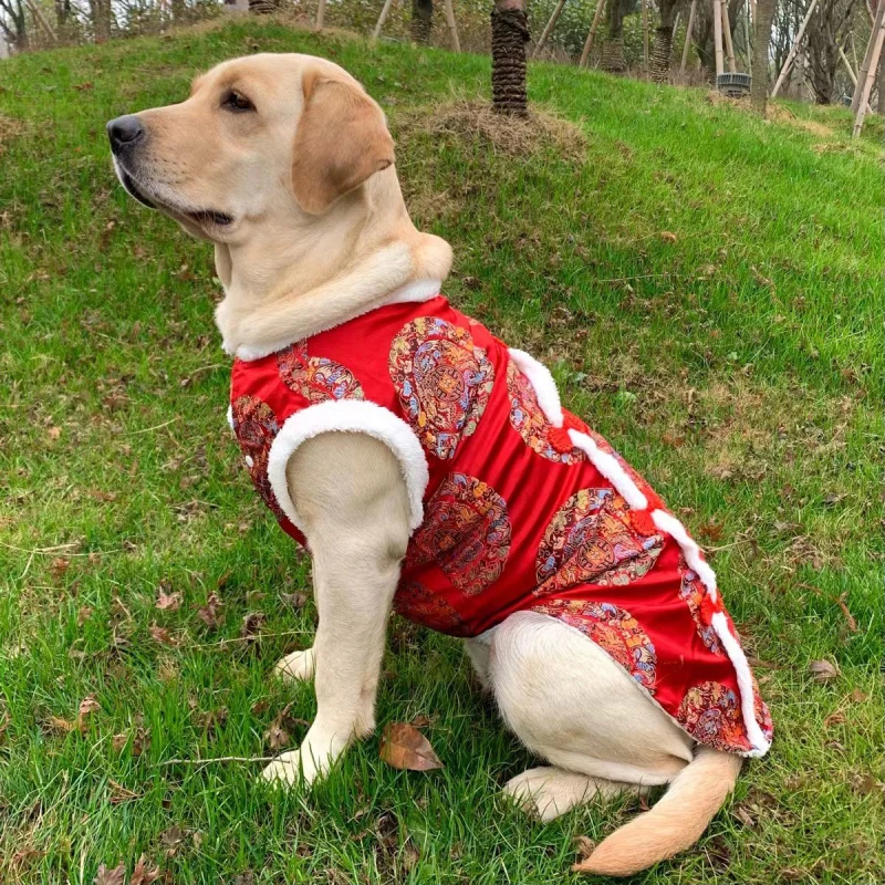 Chinese New Year Dog Clothes Tang Suit Small Medium Big Large Dog Clothing Coat Cheongsam Corgi Husky Golden Retriever Costume