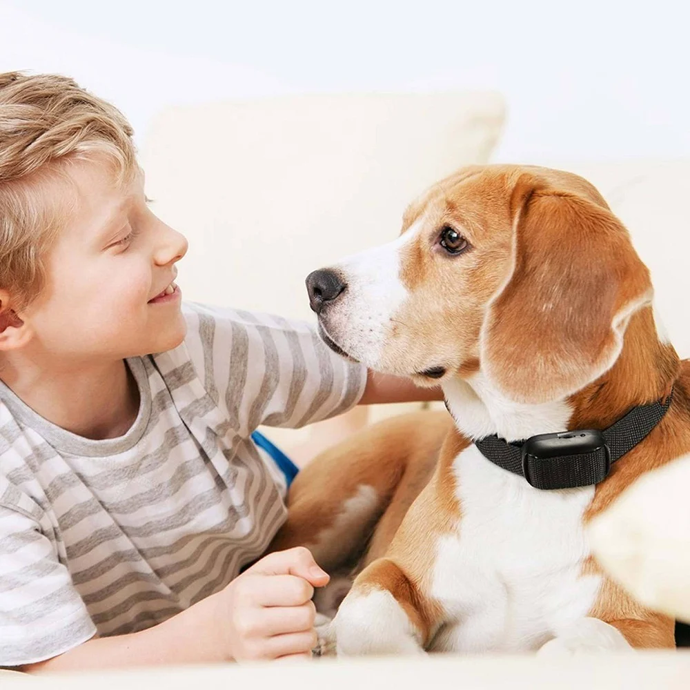 Electric Shock Anti-Bark Household Pet Stop Barking Control Collar Device for Dogs Training |
