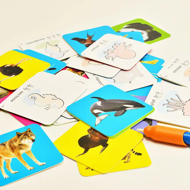 Sunshine Baby Can'T Tear Graffiti Cognitive Card Painting This Kindergarten Early Education Enlightenment Book To See