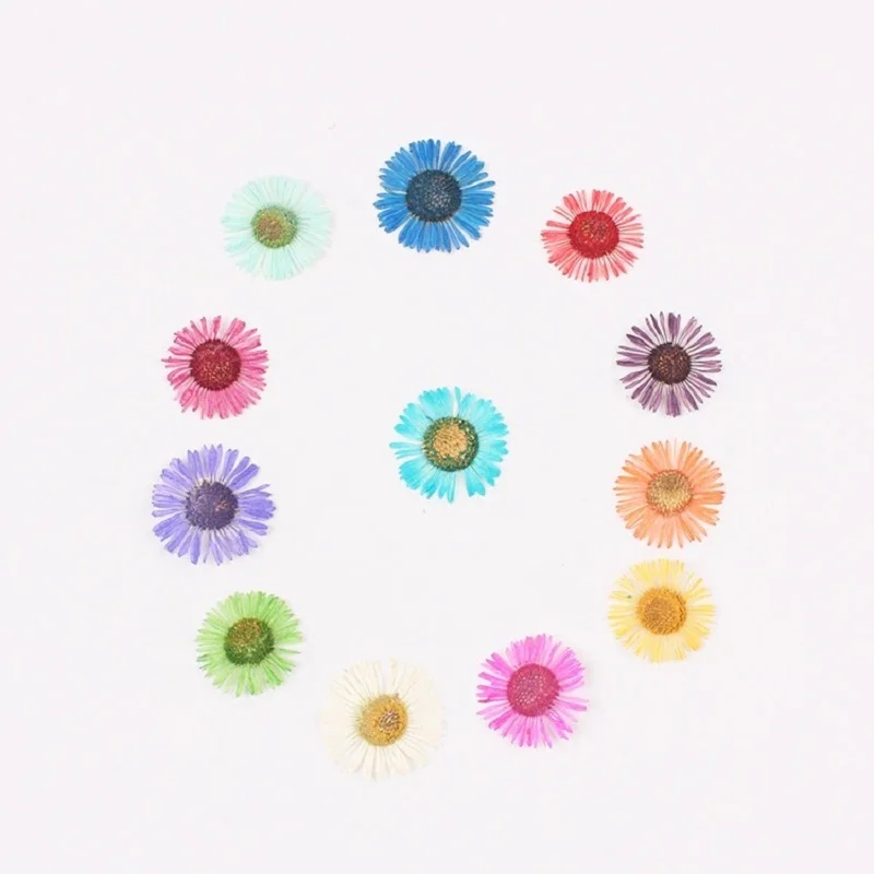 

120pcs Pressed Dried Conyza canadensis Filler Flower For Epoxy Resin Jewelry Making Postcard Frame Phone Case Craft DIY