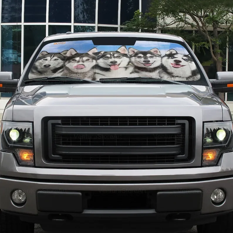Рисунок 5 - Автомобильный солнцезащитный козырек Husky