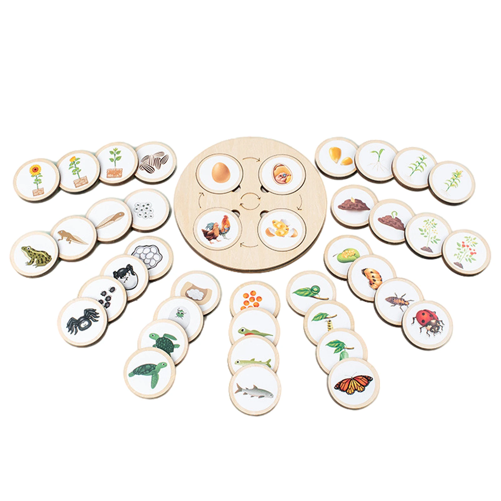 

Пазл с жизненным циклом, Набор пазлов с жизненным циклом для животных, растений и насекомых, деревянные пазлы с пятью сетками для раннего ра...
