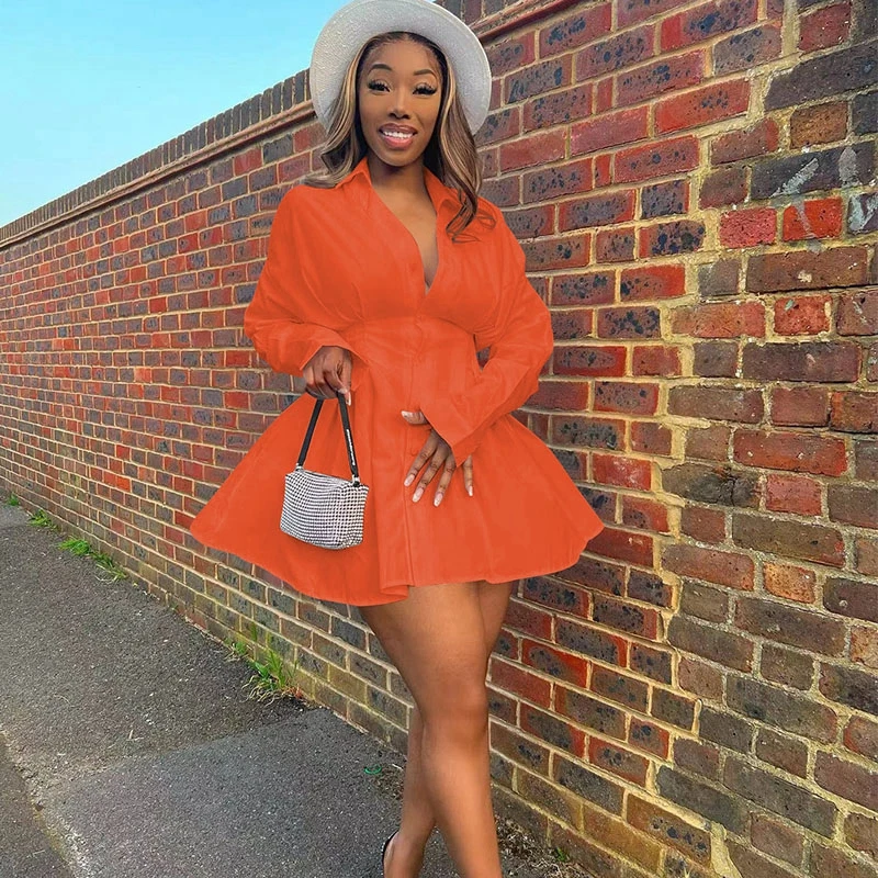 

Women Solid Long Sleeve Buttoned Mini Dress Turn Down Collar Long Sleeve Draped Tunic High Waist Sweet Shirt Dress
