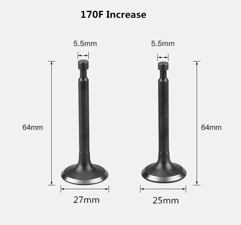 

Клапан впускного и выпускного клапана 168/170/GX160/GX200