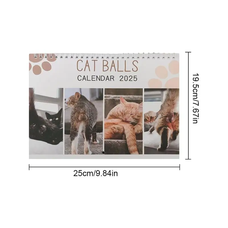 2025 Забавный подвешиваемый бумажный календарь шарики для кошек ежемесячный кляп
