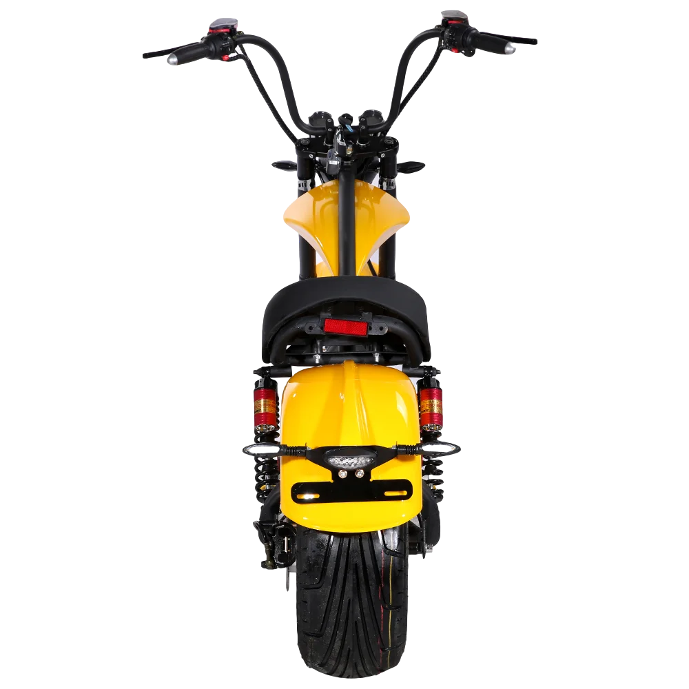 Рисунок 6 - Прямая Заводская цена EEC/COC 2000W 60V 20Ah