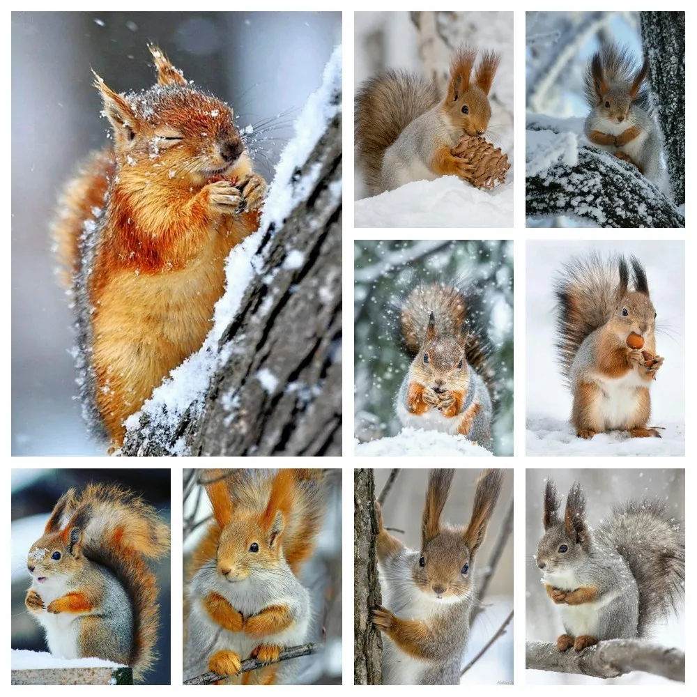 

5D DIY Diamond Painting Cartoon Animal Squirrel Embroidery Mosaic Art Picture Full Drill Cross Stitch Kit Living Room Decor Gift