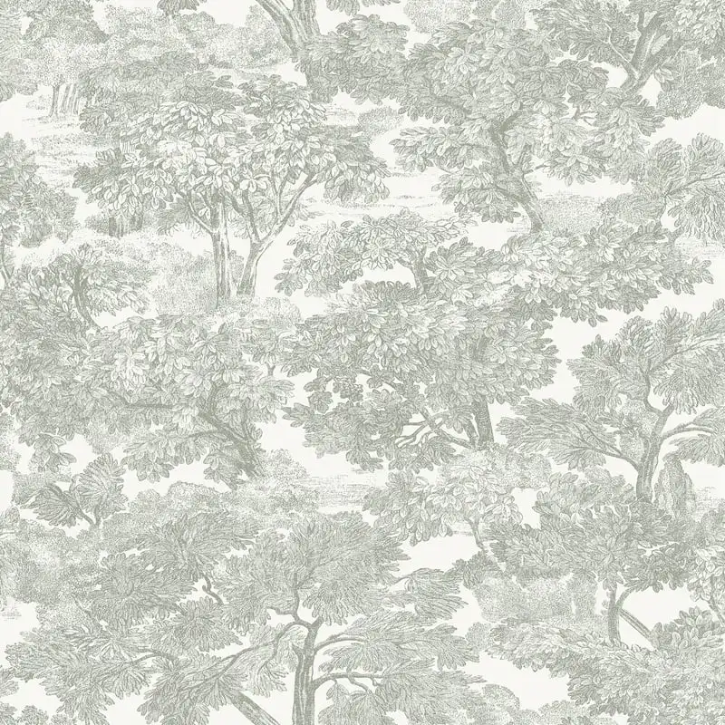 

Фотообои Spinney Grey Backdrop 56,4 кв. Футов.