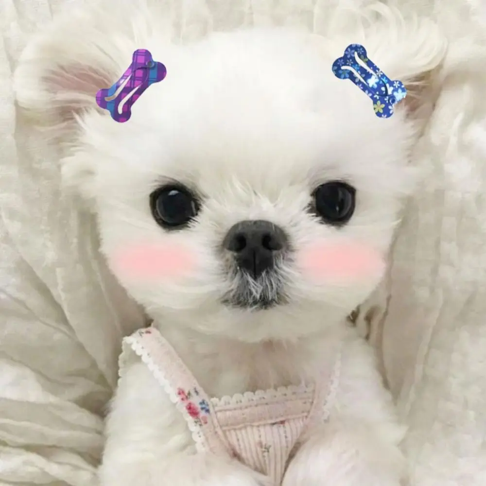 

Durable Colorful Bone Shape Universal Mini Pet Hair Accessories Pet Headwear Dog Hairpin Hair Clip