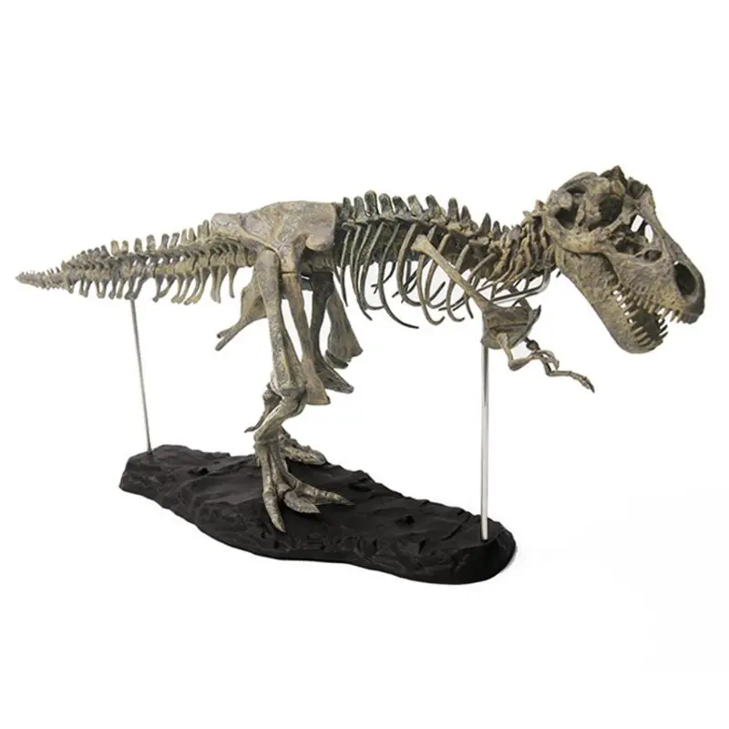 

Model Dinosaur Skeleton Automobile Decoration Classroom Teaching Supplies