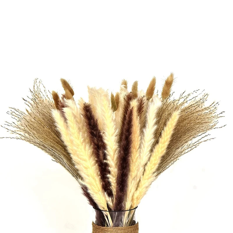 

Pampas Grass Decor - 60 Pcs 17 Inch - Includes Natural Dried White, Beige & Brown Small Pampas Grass, Bunny Tails