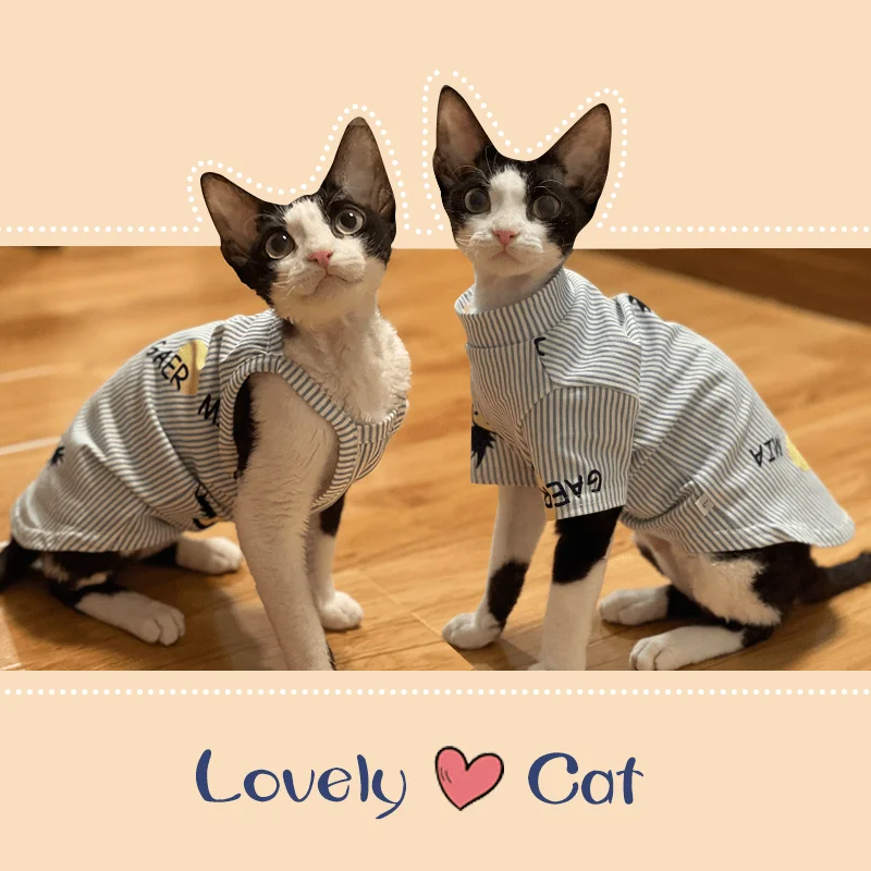

Одежда для кошек Сфинкс утепленный комбинезон для котят Сфинкс коты полосатые толстовки теплый костюм рубашка DevonRex весна осень зима