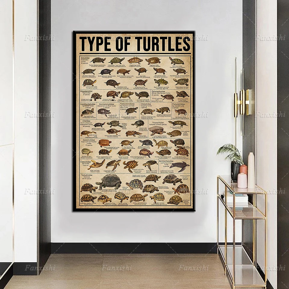 

Type Of Turtles Print Framed Canvas Poster, Sea Turtle Lover Knowledge, Sea Turtle Poster, Turtle Species Guide, Turtle Lovers,