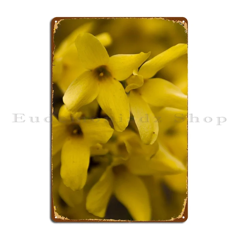 

Forsythia In The Garden Metal Plaque Create Designing Wall Decor Wall Plaque Pub Tin Sign Poster