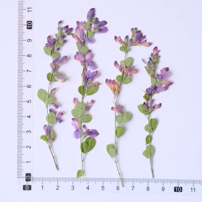 100 шт. двухцветные закладки для фотографий