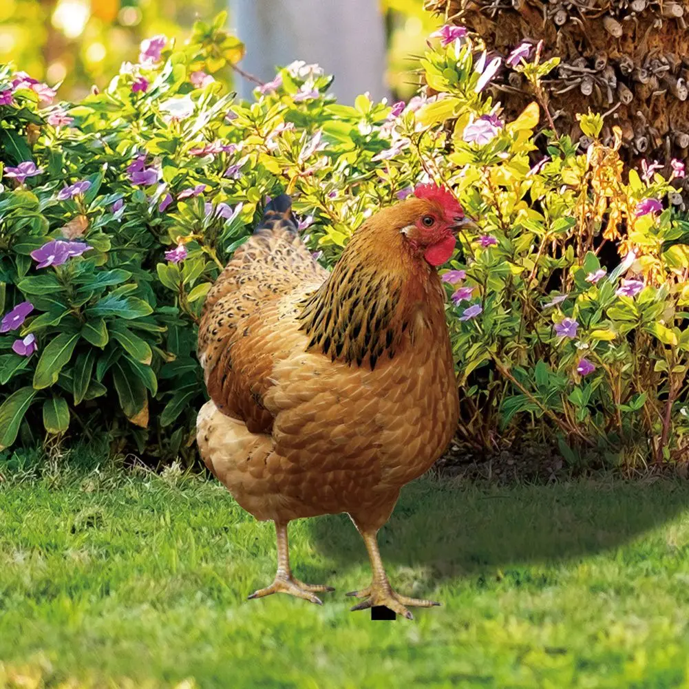 

2 Garden Chicken Statue Card 2D Acrylic Chicken Sculpture For Yard Decor Weatherproof Hen Figurine For Farm Patio Lawn Back Yard