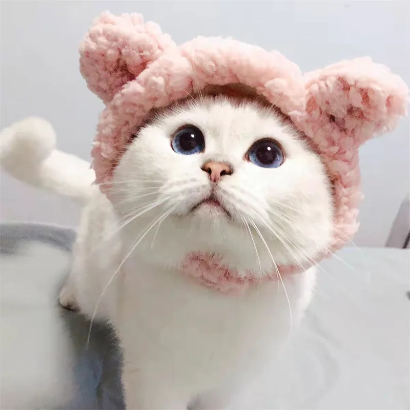 

Cat bear hat comfortable plush headgear cat and dog cute headgear decoration small pet supplies decorati
