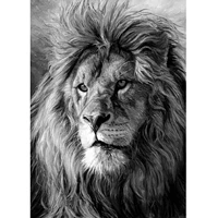 5d diamond painting black and white lion full drill by number kits for adults diy diamond set arts craft decoration by a0395