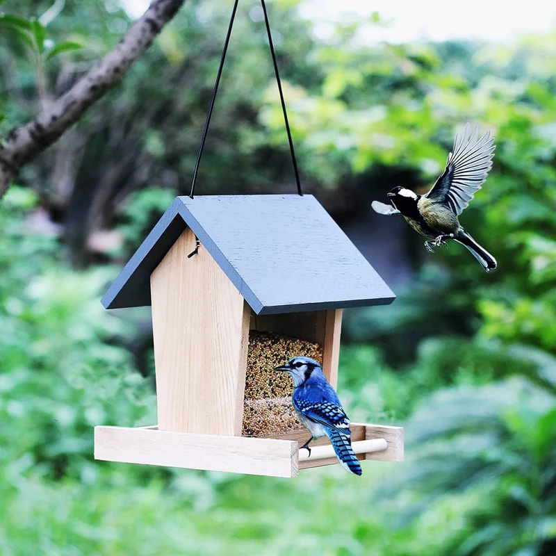 

Cedar Ranch Feeder Wild Bird Feeder For Hanging Bird Seed For Outside Feeders With Viewing Window For Outdoor Garden