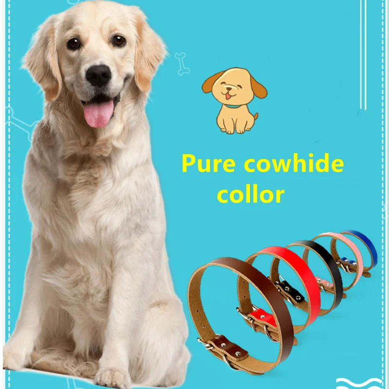 

10PCS Wholesale Pet Supplies Dog Cowhide Collar Alloy Buckle Dog Chain Cat Necklace Adjustable for Small and Medium-sized Dogs