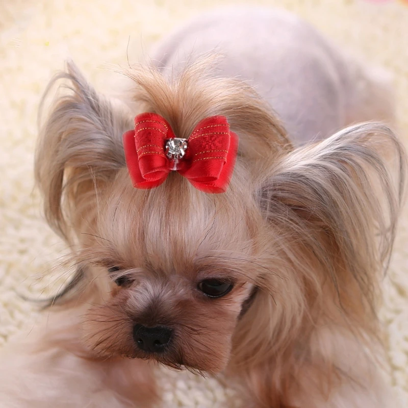

10 Pcs Pet Hair Clip Bow Knot Grooming Headdress Dog Decoration Accessories