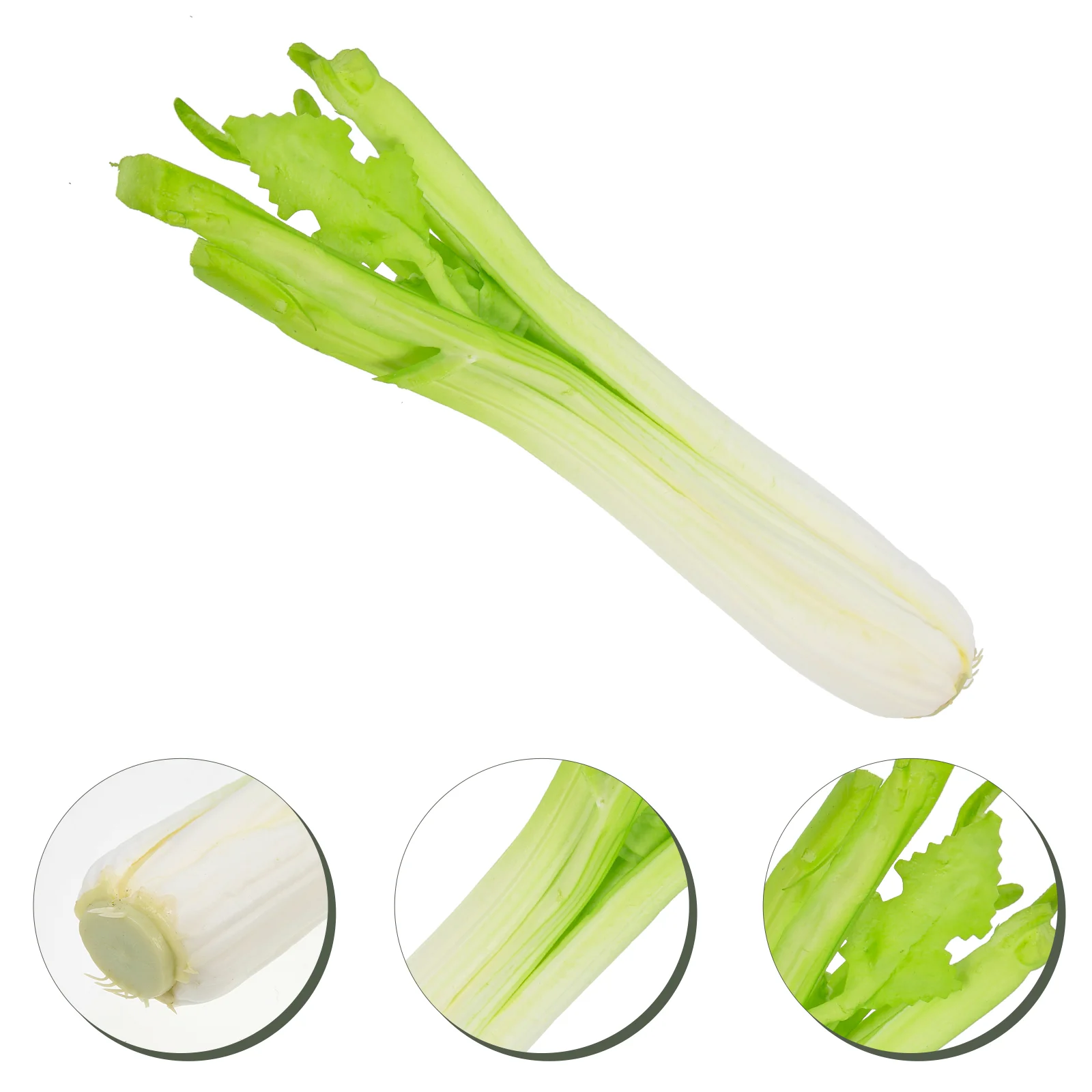 

Celery Vegetables Vegetable Artificial Model Fakesimulation Props Faux Decorativeveggies Lifelike Prop Realistic Decoration