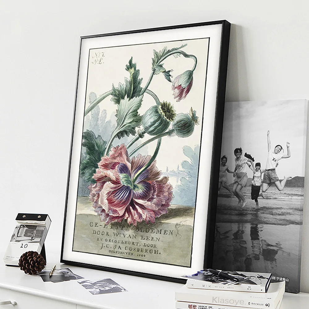 Виллем Ван Лен плакат маки винтажный художественный принт цветок ботанический