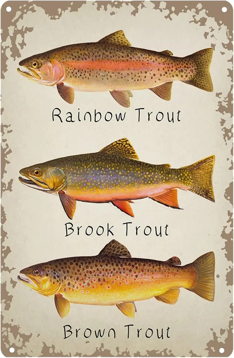 Vntge Metl Tn Sgn Забавная форель Rnbow Brook Trout Плакат с коричневой форелью Ретро Wll Идеально