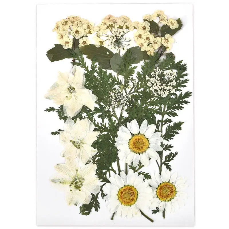 

Натуральные сушеные цветы для декупажа