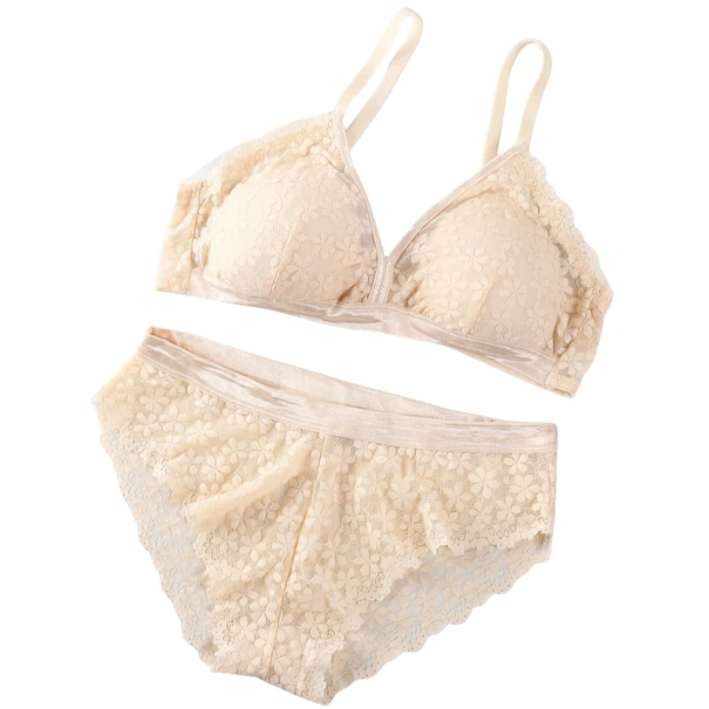 

Women Lace Bra And Panty Set Push Up Bra Low Waist Panties Female Sexy Lingerie Set French V-neck Transparent Lace Underwear Set