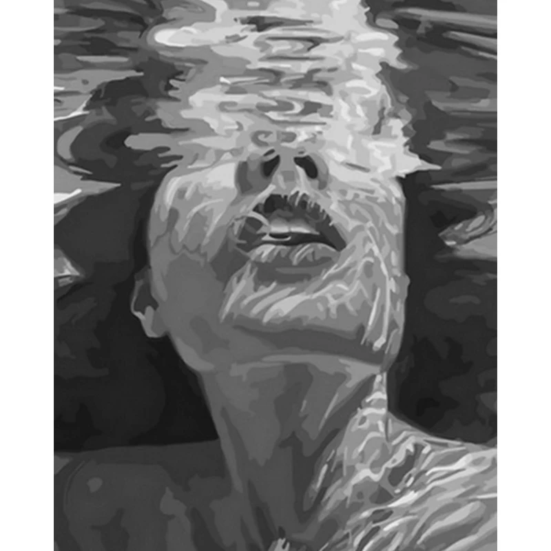 

AMTMBS Black And White Under The Water DIY Painting By Numbers Adults Drawing On Canvas Oil Pictures By Numbers Wall Art Decor