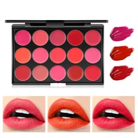 15colors matte lipstick palette waterproof nutritious lips makeup long lasting brand lipstick