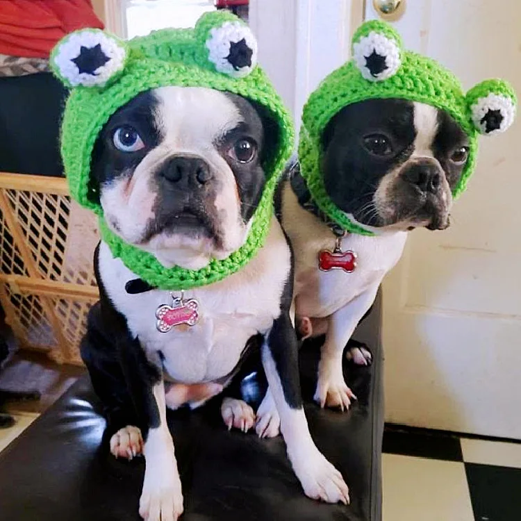 

frog handmade knit loveliness pet cats dogs scanf hat cap HC-121
