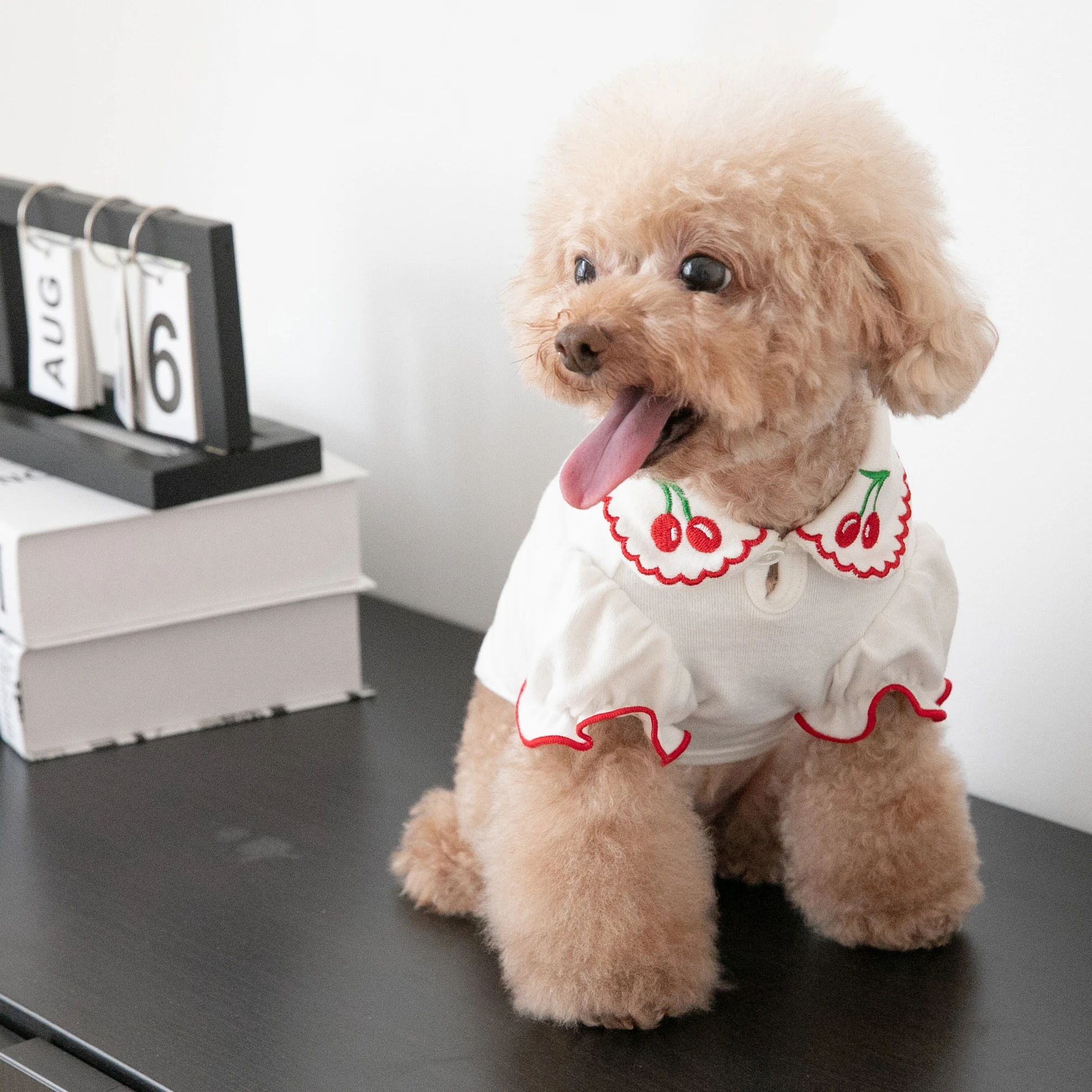 

Soft Cotton Pet Clothes, Cherry Dog Vest, Cute Bubble Shirt, Preppy Sweet Teddy Dog Cat Clothing, Autumn and Winter