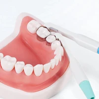5pcs 4 5 6 mm easyinsmile dentisty dental matrix band matrice adjustable ring system stainless standard and curved pre formed