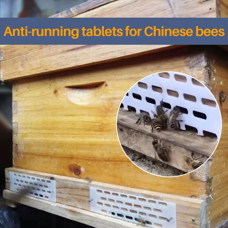 10/20 шт. пластиковая рама для блокировки улей