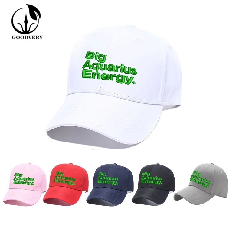 

GOODVERY Aquarius Embroidered Baseball Cap Constellation Solid Color Outdoor Sports Sun Hat Fashion Unisex Astrology Peaked Caps