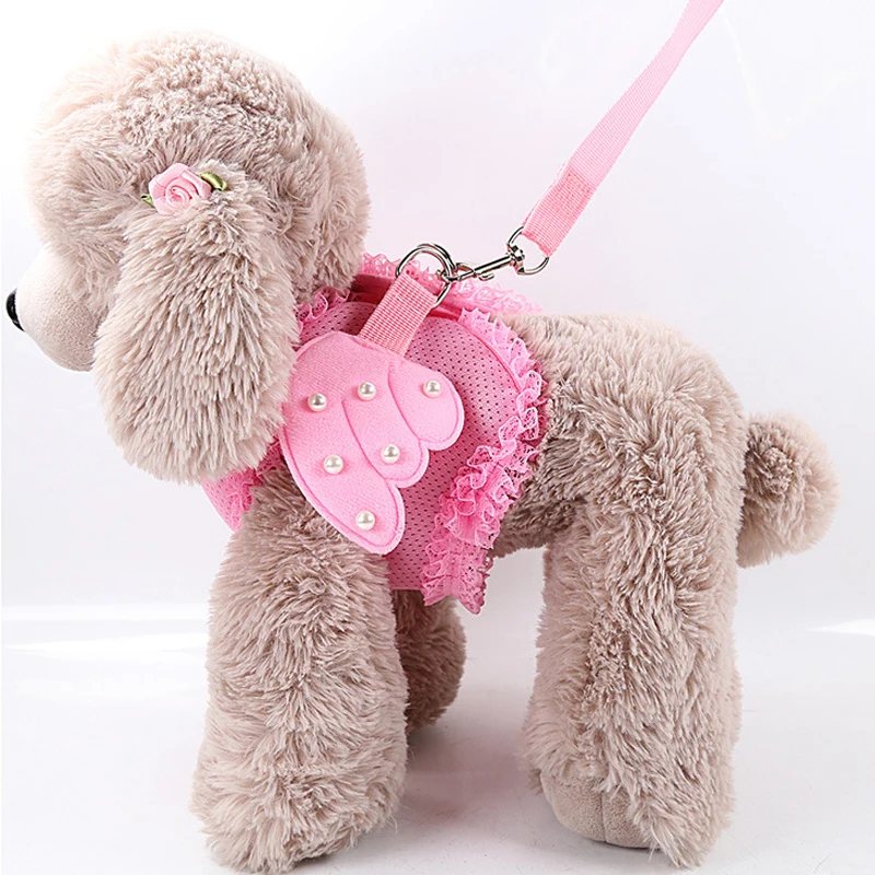 Новинка 2022 Регулируемая Веревка для собак Bichon Тедди Померанский Йоркширский
