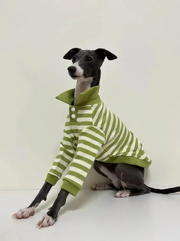 Осенне-зимняя рубашка-поло из чистого хлопка, эластичная итальянская одежда Greyhound Whippet Bellington для собак в зеленую полоску